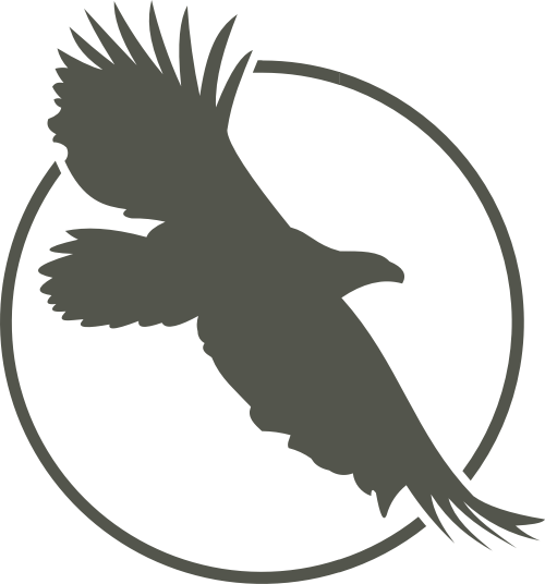 黑色老鹰矢量logo图标 logo png