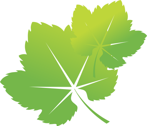 绿色树叶矢量logo图标