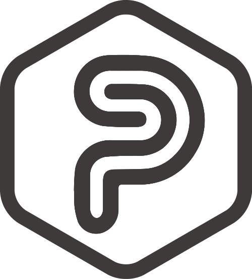 黑色六边形字母P矢量logo