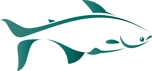 绿色鱼矢量logo元素