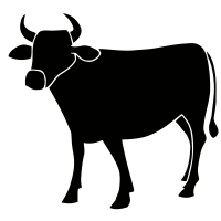  logo png