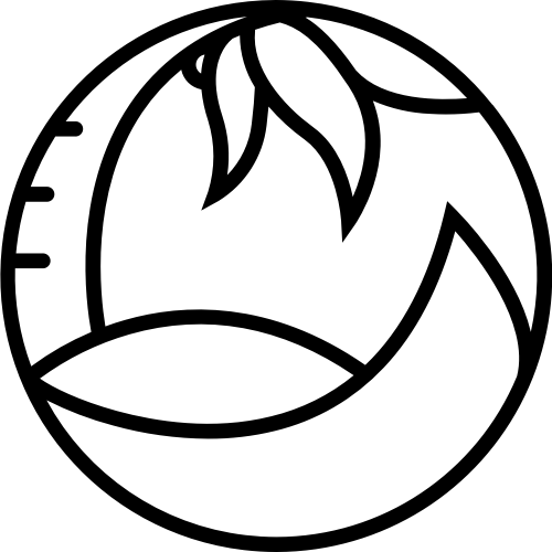 圆环椰树海边矢量图形 logo png