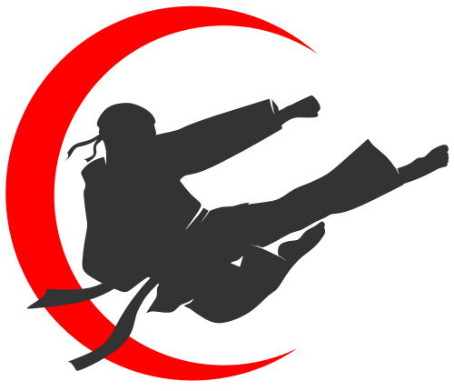跆拳道武术飞腿酷logo矢量图形