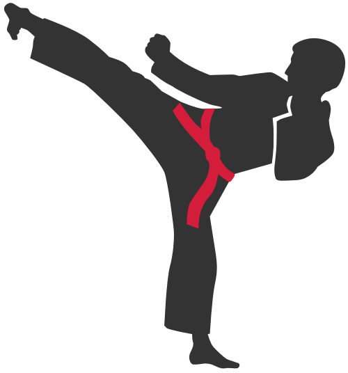 跆拳道武术踢腿红腰带logo素材图形 logo png