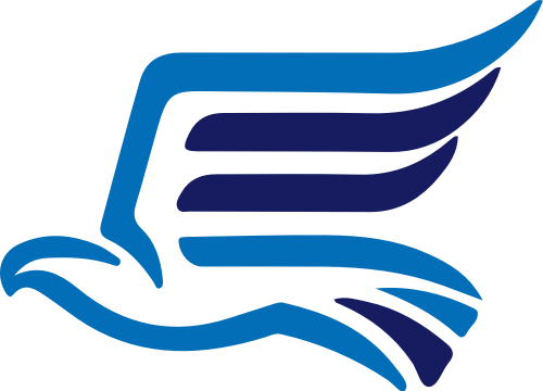 物流鹰 logo png