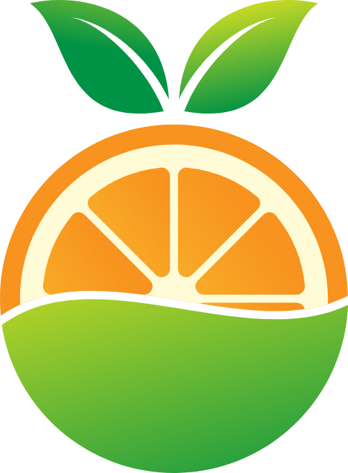 水果橙子矢量logo