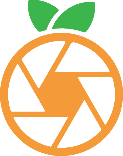 柠檬饮料柠檬果 logo png