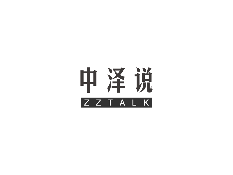 中泽说 logo | 一键设计艺术设计 logo - 标小智