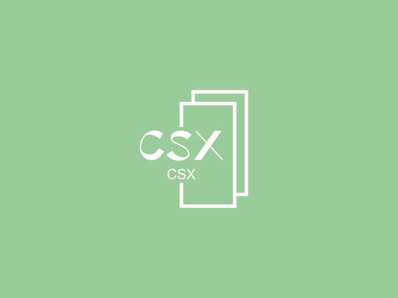 CSX - CSX