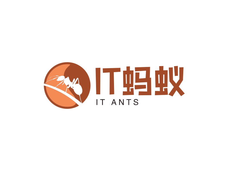 IT蚂蚁 - IT ANTS