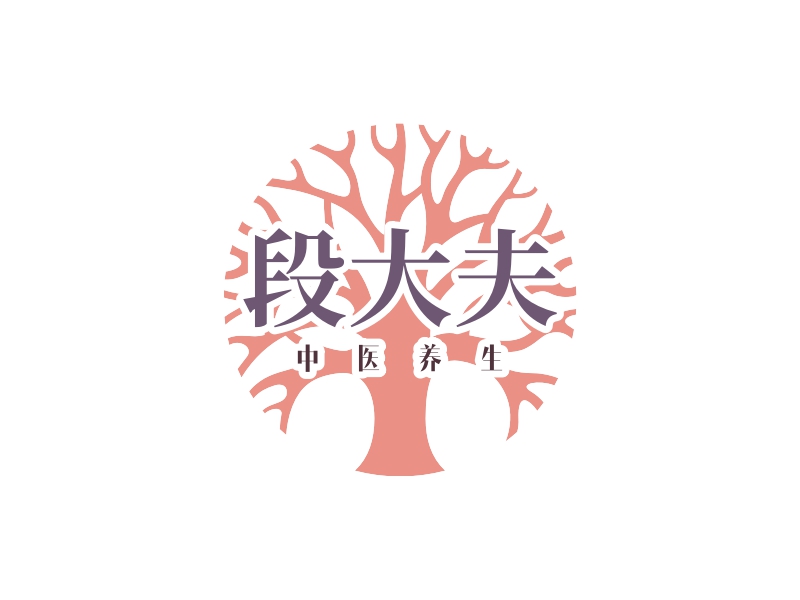 段大夫logo设计