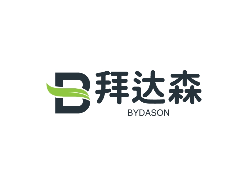 拜达森 - BYDASON